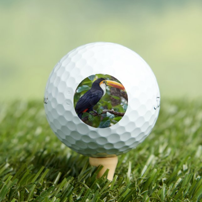 You Toucan Sit In The Treetops, Golf Balls (Insitu Tee)