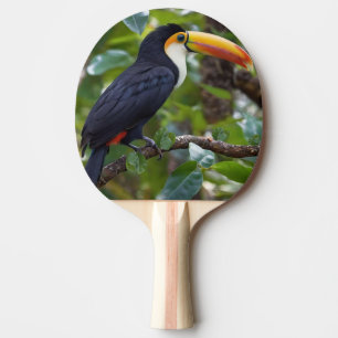 You Toucan Sit In The Treetops, Ping Pong Paddle