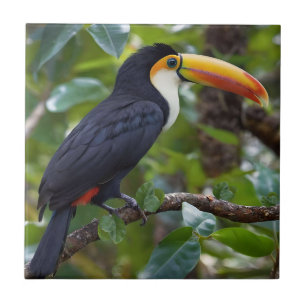 You Toucan Sit In The Treetops, Tile