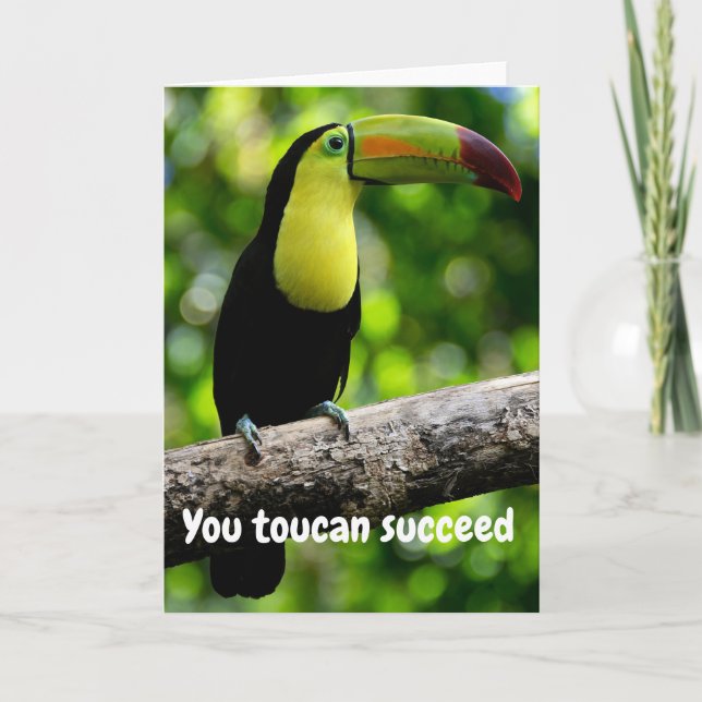 You toucan succeed card (Front)
