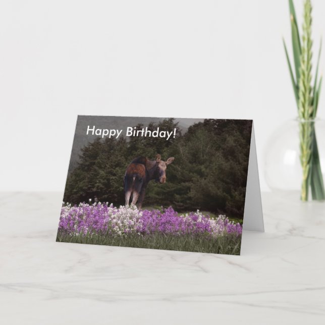 You’ve Been Mooned by a Moose! Birthday Card (Front)