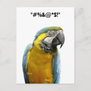 "You Voted For Him" Card