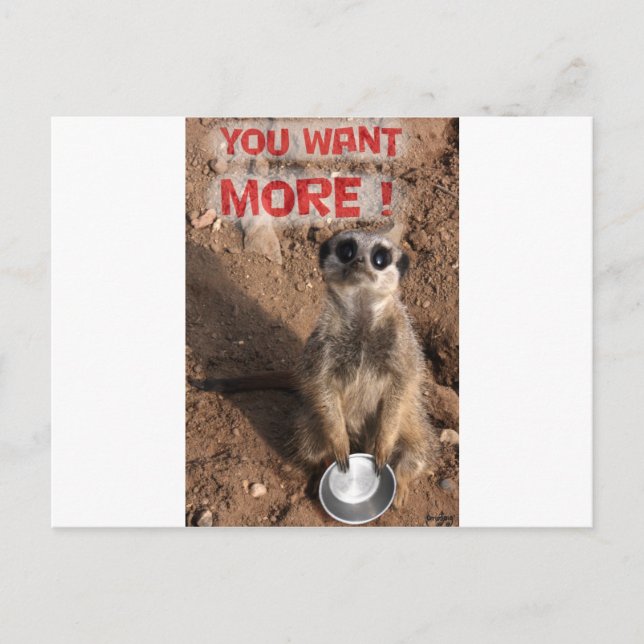 you want more .. postcard (Front)