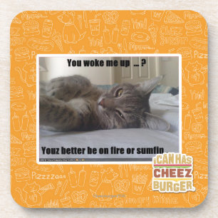 You woke me up coaster