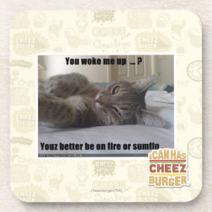 You woke me up coaster