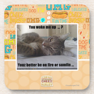 You woke me up coaster