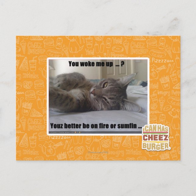 You woke me up postcard (Front)