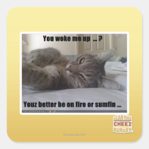 You woke me up square sticker