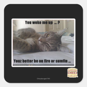 You woke me up square sticker