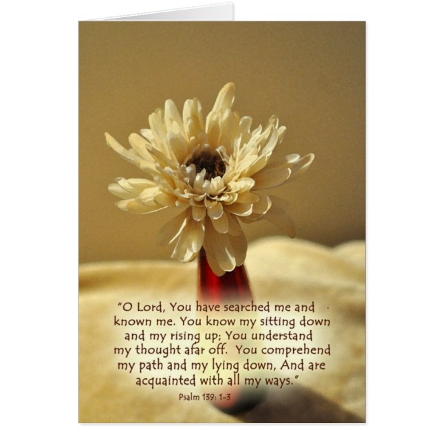 YouhavesearchedmeZazzle (Front)