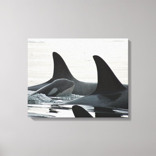 You'll Never Swim Alone Canvas Print (Front)