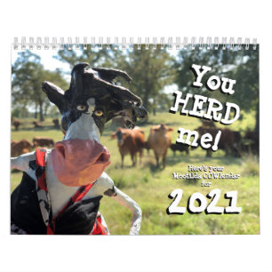 You'll nHEIFER find a better COWlendar than this Calendar
