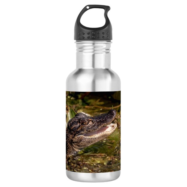 Young Alligator 532 Ml Water Bottle (Front)