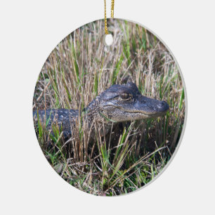 Young Alligator in Marsh Grass Wildlife Nature Ceramic Tree Decoration