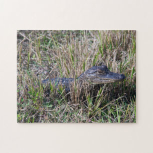 Young Alligator in Marsh Grass Wildlife Nature Jigsaw Puzzle