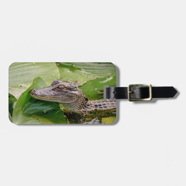 Young Alligator Luggage Tag (Front Horizontal)