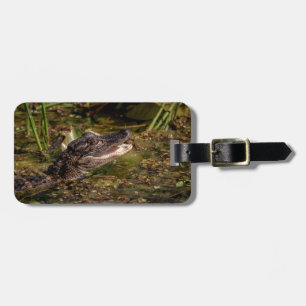 Young Alligator Luggage Tag
