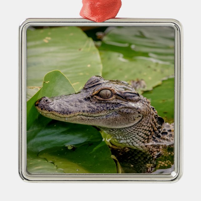 Young Alligator Metal Tree Decoration (Front)