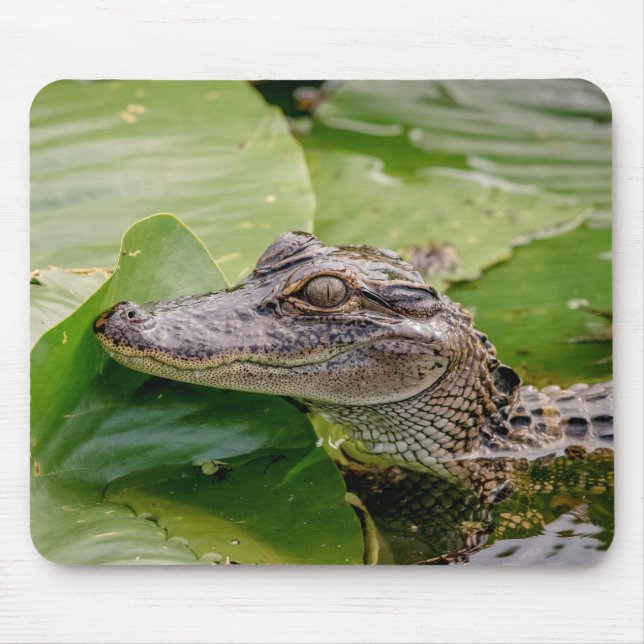 Young Alligator Mouse Mat (Front)