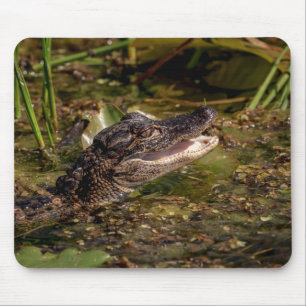 Young Alligator Mouse Mat