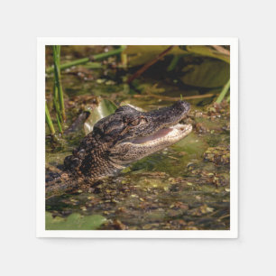 Young Alligator Napkin