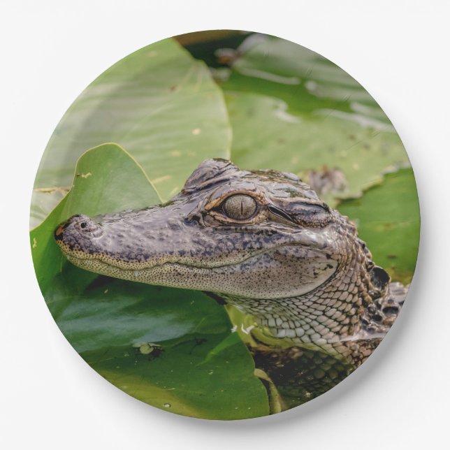 Young Alligator Paper Plate (Front)