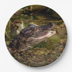 Young Alligator Paper Plate