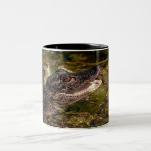 Young Alligator Two-Tone Coffee Mug