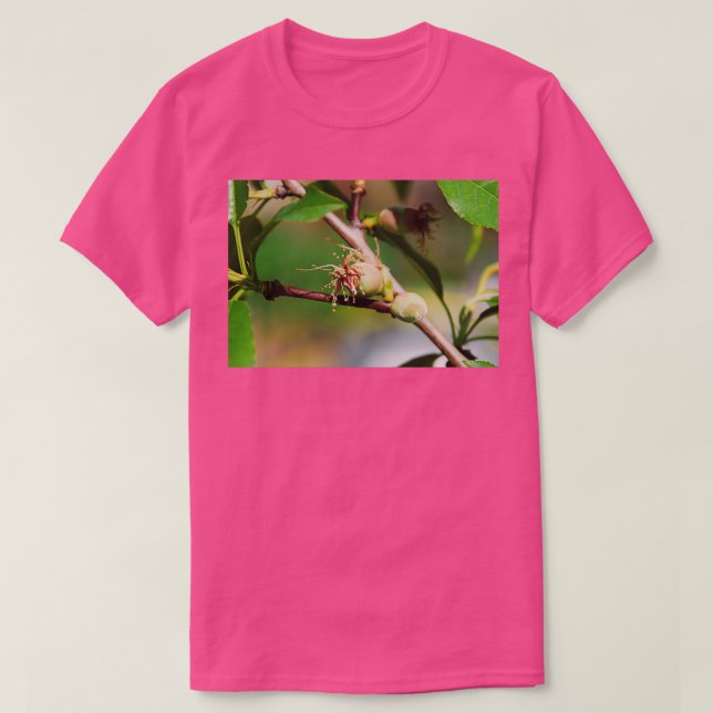 Young Almond Drupes T-Shirt (Design Front)