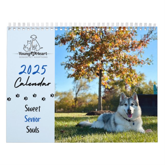 Young at Heart 2025 Calendar - Sweet Senior Souls (Cover)