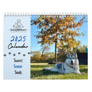 Young at Heart 2025 Calendar - Sweet Senior Souls