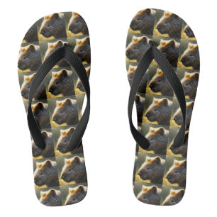 Young Australian Wombat, Flip Flops