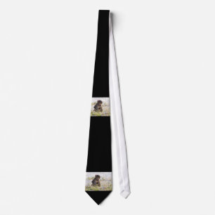 Young Baboon Tie