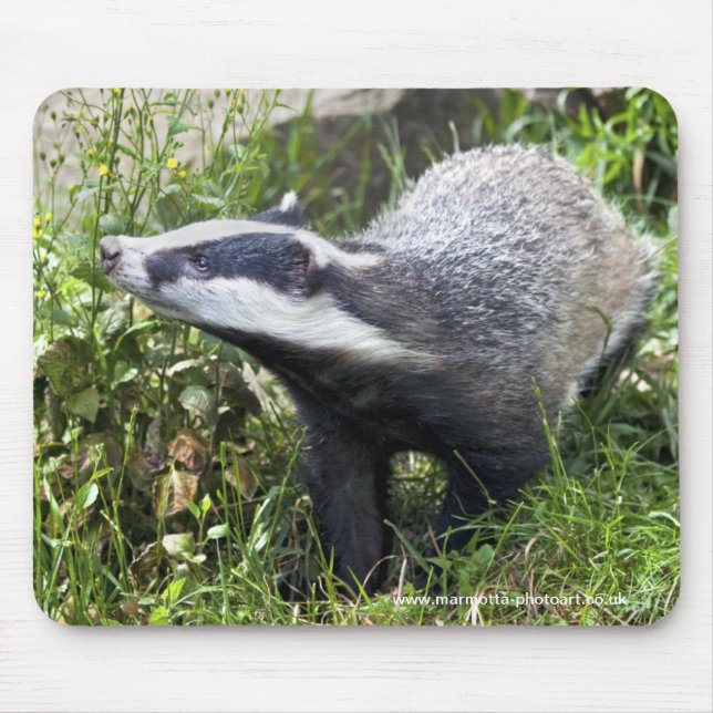 Young Badger Mousemat (Front)