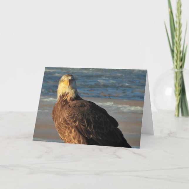 Young Bald Eagle on the Beach Birthday Card (Front)