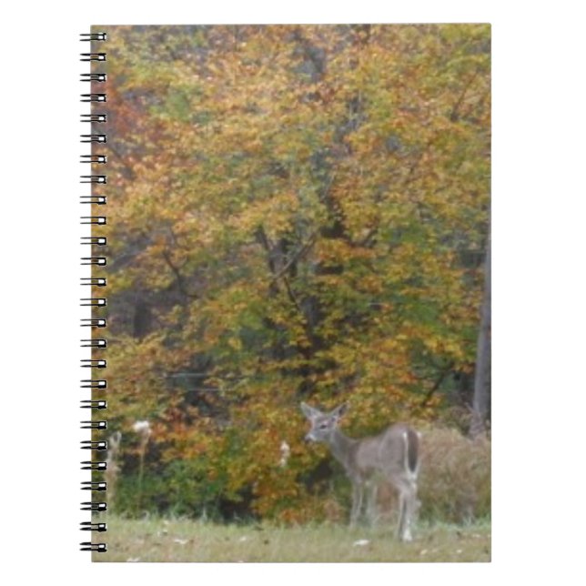 Young Bambi Deer with fall trees. Notebook (Front)