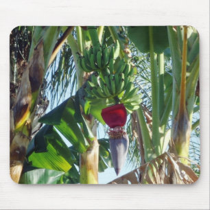 Young Bananas Mouse Mat