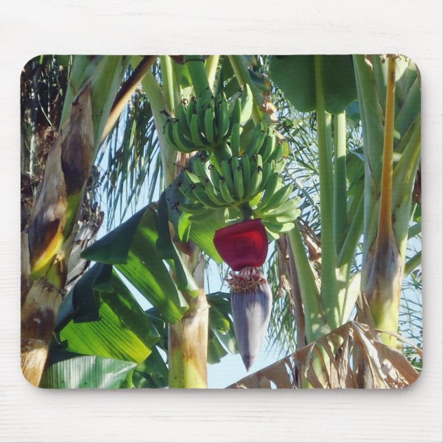 Young Bananas Mouse Mat (Front)