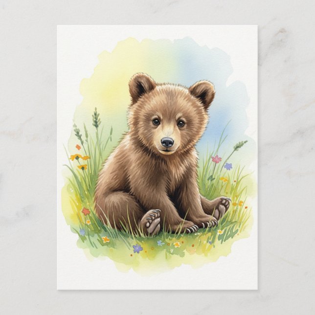 Young Bear Baby Wild Animals Postcard (Front)