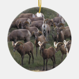Young Bighorn Sheep Ceramic Tree Decoration
