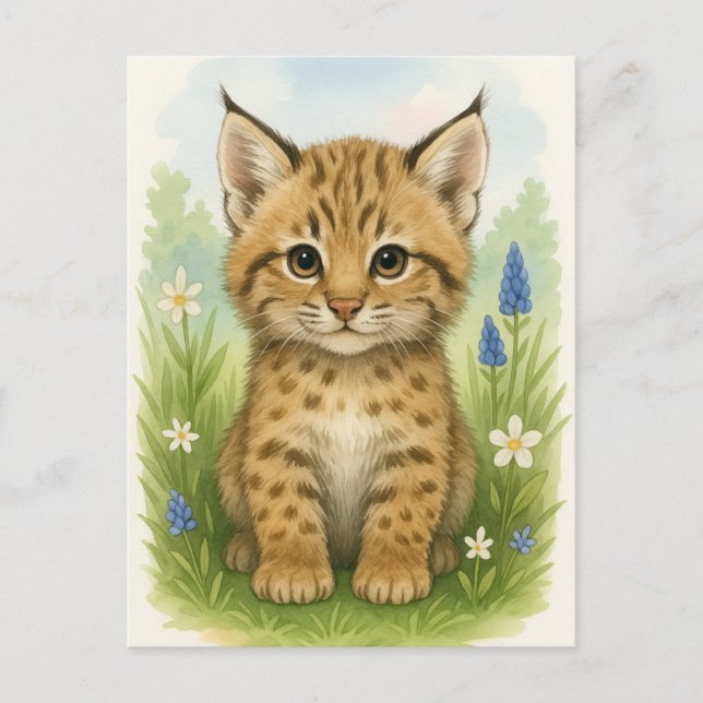 Young Bobcat Kitten Cat Baby Wild Animals Postcard (Front)