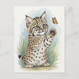 Young Bobcat Kitten Cat Baby Wild Animals Postcard