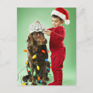 Young boy wrapping Christmas lights around a dog Holiday Postcard