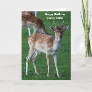 Young Buck Birthday card