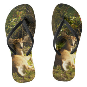 Young Buck in the Meadow Flip Flops