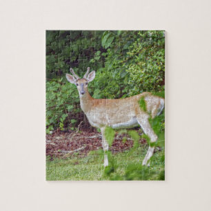 Young Buck in Velvet Jigsaw Puzzle