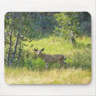 Young Buck in Yosemite, CA Mouse Mat