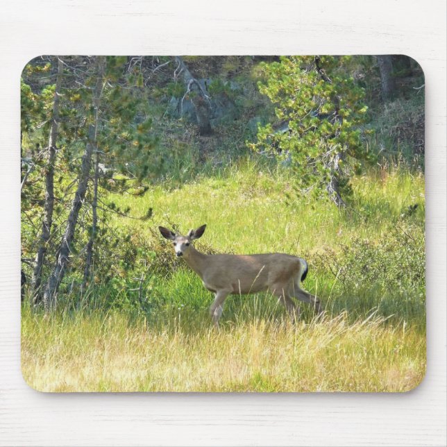 Young Buck in Yosemite, CA Mouse Mat (Front)