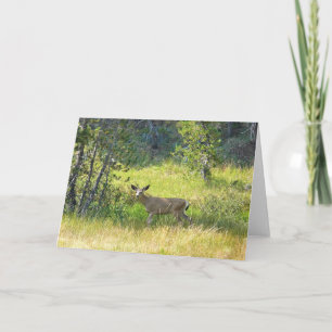 Young Buck in Yosemite, California Card