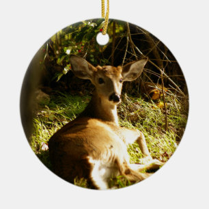 Young Buck Ornament